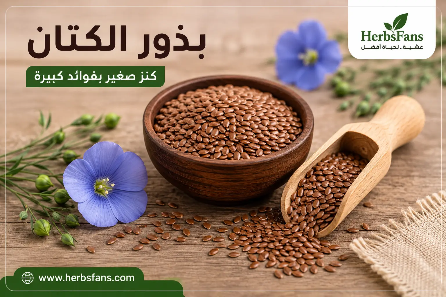 بذور الكتان الطازجة والفوائد الصحية بذور الكتان الطازجة والفوائد الصحية