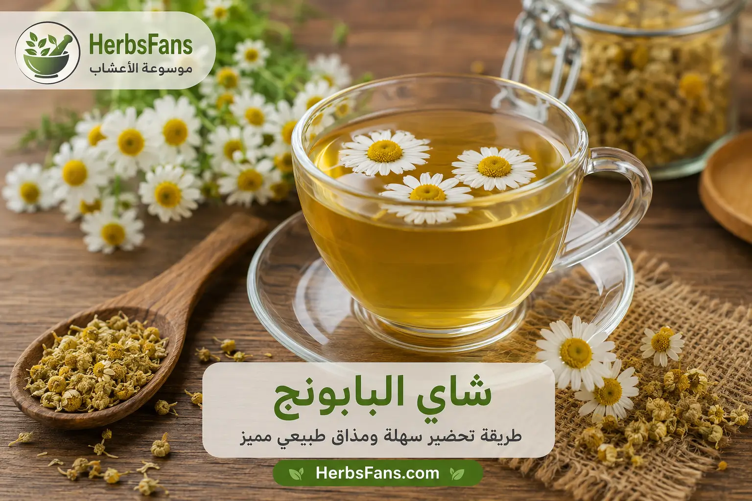 طريقة عمل شاي البابونج خطوة بخطوة، المقادير ومدة النقع الصحيحة طريقة عمل شاي البابونج خطوة بخطوة، المقادير ومدة النقع الصحيحة