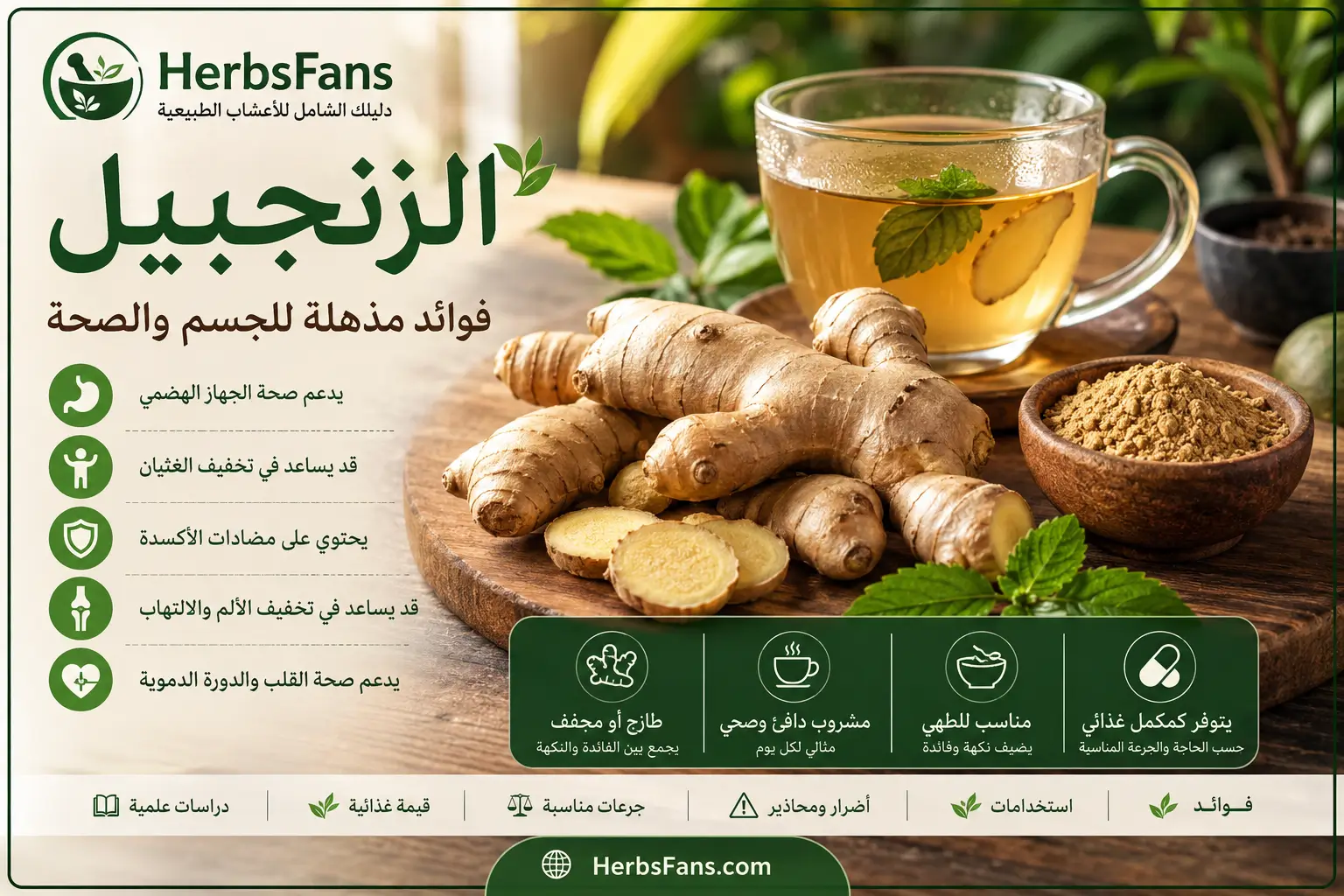 الزنجبيل، دليل شامل للفوائد، الاستخدامات، الأضرار، والقيمة الغذائية الزنجبيل، دليل شامل للفوائد، الاستخدامات، الأضرار، والقيمة الغذائية